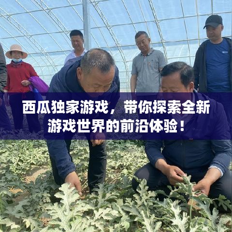 西瓜獨(dú)家游戲，帶你探索全新游戲世界的前沿體驗(yàn)！