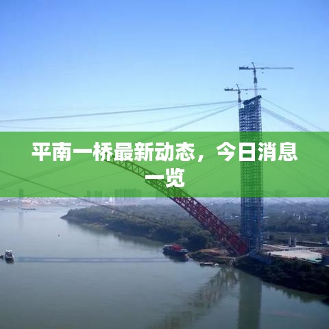 平南一橋最新動(dòng)態(tài)，今日消息一覽