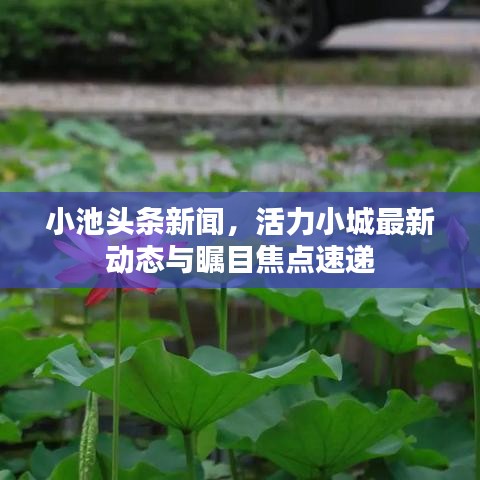 小池頭條新聞，活力小城最新動(dòng)態(tài)與矚目焦點(diǎn)速遞