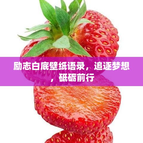 勵志白底壁紙語錄，追逐夢想，砥礪前行