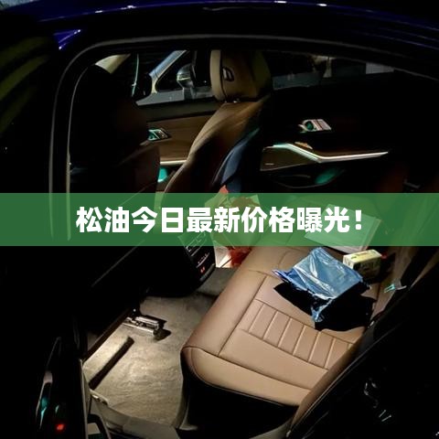 松油今日最新價格曝光！