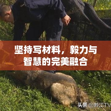 堅持寫材料，毅力與智慧的完美融合