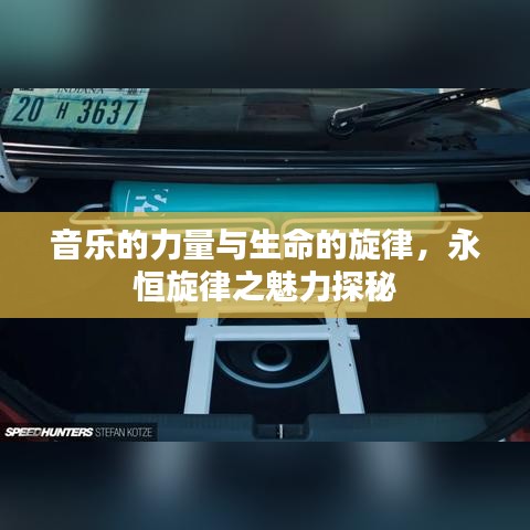 音樂的力量與生命的旋律，永恒旋律之魅力探秘