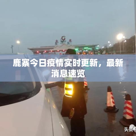鹿寨今日疫情實時更新，最新消息速覽