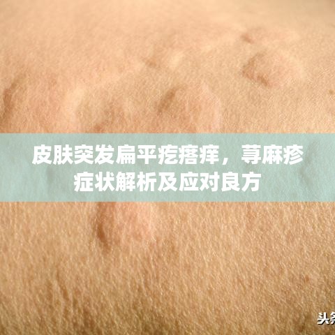 行業(yè)資訊 第41頁