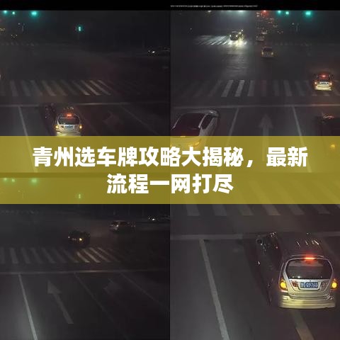 青州選車牌攻略大揭秘，最新流程一網(wǎng)打盡