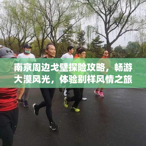 南京周邊戈壁探險(xiǎn)攻略，暢游大漠風(fēng)光，體驗(yàn)別樣風(fēng)情之旅