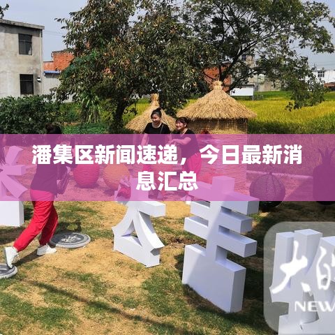 潘集區(qū)新聞速遞，今日最新消息匯總