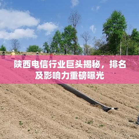 沖壓設(shè)備 第33頁