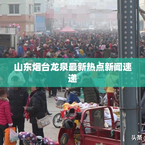 山東煙臺龍泉最新熱點新聞速遞
