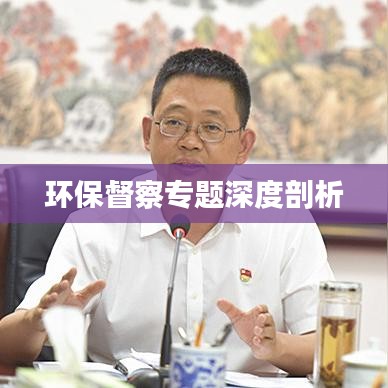 環(huán)保督察專題深度剖析