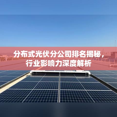 分布式光伏分公司排名揭秘，行業(yè)影響力深度解析