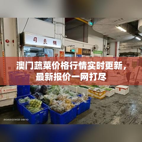 澳門(mén)蔬菜價(jià)格行情實(shí)時(shí)更新，最新報(bào)價(jià)一網(wǎng)打盡