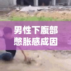 男性下腹部憋脹感成因及應對方法解析