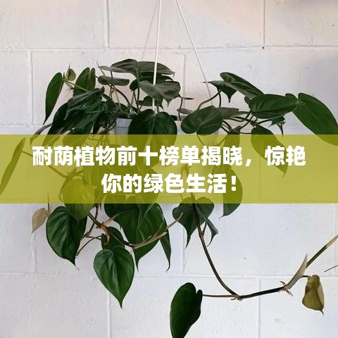 筆走如飛 第2頁(yè)
