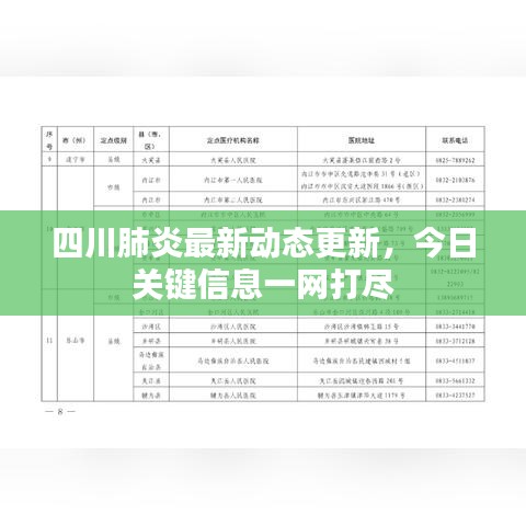 四川肺炎最新動態(tài)更新，今日關(guān)鍵信息一網(wǎng)打盡