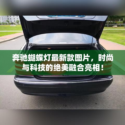 奔馳蝴蝶燈最新款圖片，時尚與科技的絕美融合亮相！