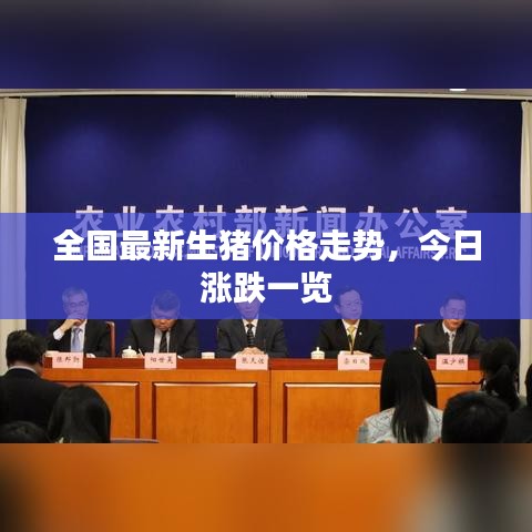 全國最新生豬價格走勢，今日漲跌一覽