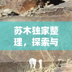 聯(lián)系我們 第35頁