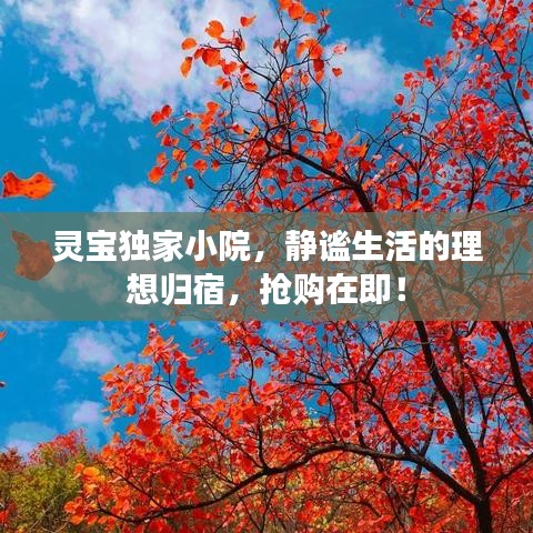 靈寶獨(dú)家小院，靜謐生活的理想歸宿，搶購在即！