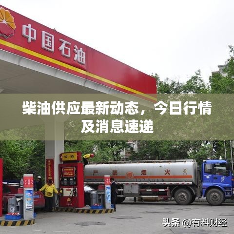 柴油供應(yīng)最新動(dòng)態(tài)，今日行情及消息速遞