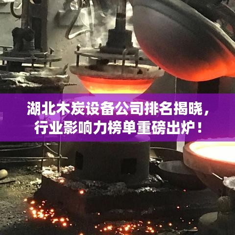 湖北木炭設(shè)備公司排名揭曉，行業(yè)影響力榜單重磅出爐！