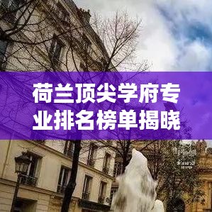 荷蘭頂尖學(xué)府專業(yè)排名榜單揭曉，前十名專業(yè)全解析！