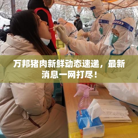 萬邦豬肉新鮮動態(tài)速遞，最新消息一網(wǎng)打盡！