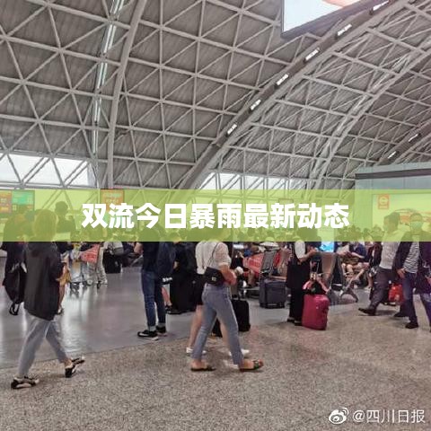 雙流今日暴雨最新動(dòng)態(tài)