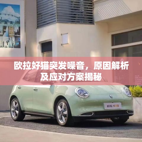 歐拉好貓突發(fā)噪音，原因解析及應(yīng)對(duì)方案揭秘