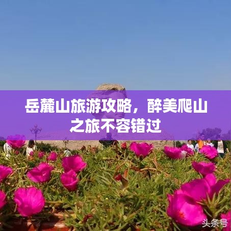 岳麓山旅游攻略，醉美爬山之旅不容錯(cuò)過