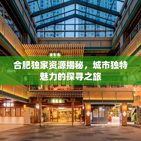 合肥獨(dú)家資源揭秘，城市獨(dú)特魅力的探尋之旅