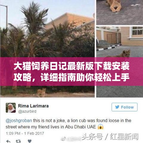 大貓飼養(yǎng)日記最新版下載安裝攻略，詳細(xì)指南助你輕松上手！