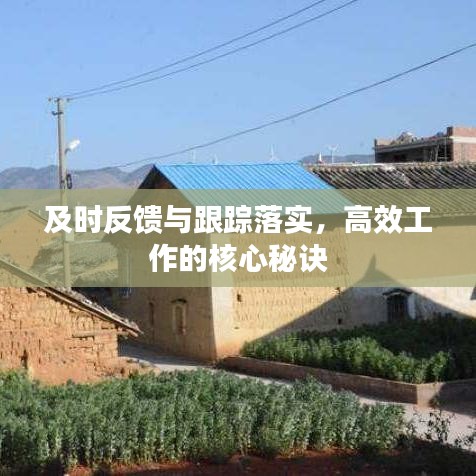 及時反饋與跟蹤落實，高效工作的核心秘訣