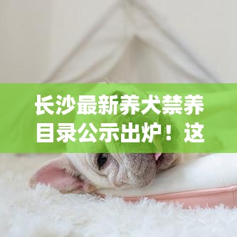 長沙最新養(yǎng)犬禁養(yǎng)目錄公示出爐！這些犬種被禁止飼養(yǎng)
