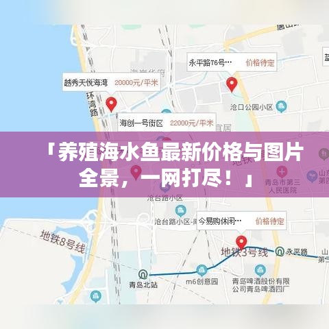 「養(yǎng)殖海水魚最新價(jià)格與圖片全景，一網(wǎng)打盡！」
