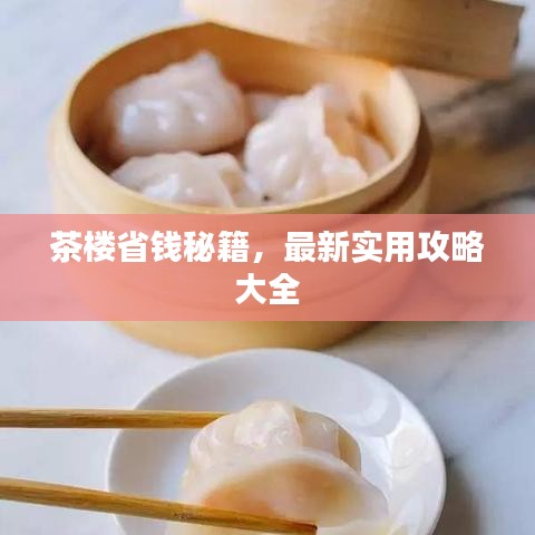 茶樓省錢秘籍，最新實用攻略大全