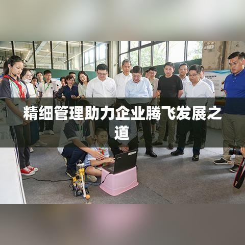 精細(xì)管理助力企業(yè)騰飛發(fā)展之道