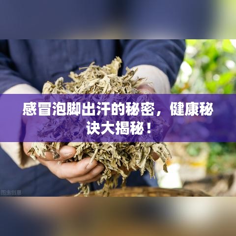 感冒泡腳出汗的秘密，健康秘訣大揭秘！
