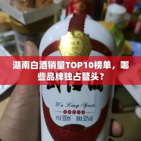 湖南白酒銷(xiāo)量TOP10榜單，哪些品牌獨(dú)占鰲頭？