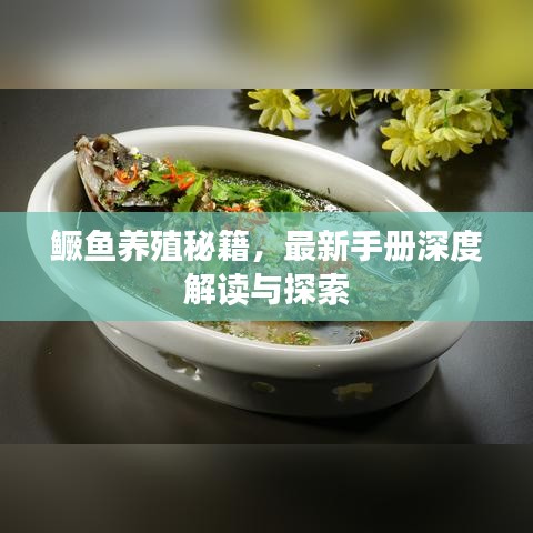 鱖魚養(yǎng)殖秘籍，最新手冊(cè)深度解讀與探索