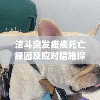 法斗突發(fā)癱瘓死亡原因及應(yīng)對(duì)措施探討