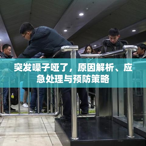 突發(fā)嗓子啞了，原因解析、應(yīng)急處理與預(yù)防策略