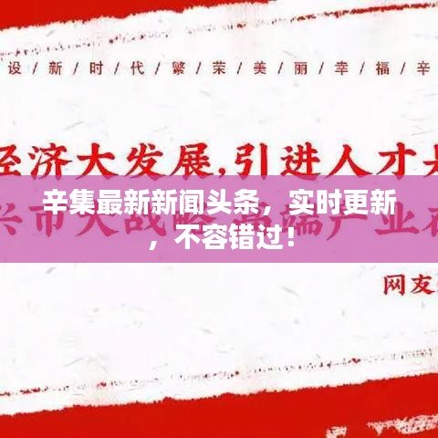 辛集最新新聞頭條，實時更新，不容錯過！