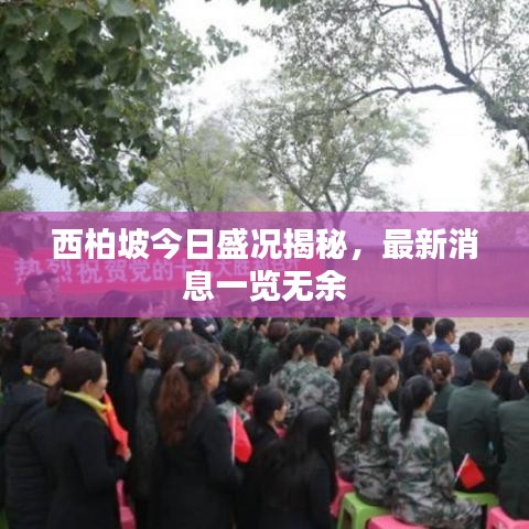 西柏坡今日盛況揭秘，最新消息一覽無(wú)余