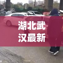 湖北武漢最新動態(tài)速遞