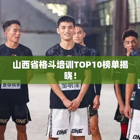 山西省格斗培訓TOP10榜單揭曉！