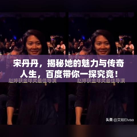 宋丹丹，揭秘她的魅力與傳奇人生，百度帶你一探究竟！
