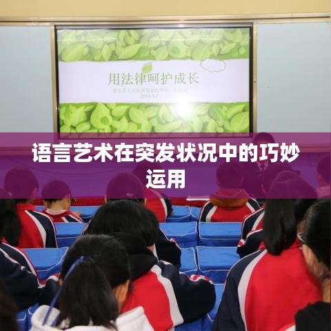 語言藝術(shù)在突發(fā)狀況中的巧妙運用