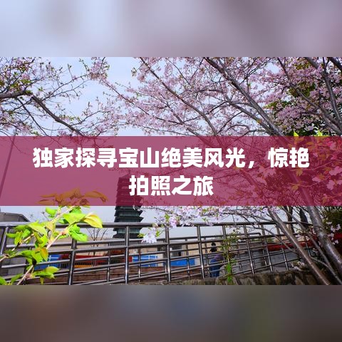 獨(dú)家探尋寶山絕美風(fēng)光，驚艷拍照之旅